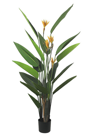 KARE roślina dekoracyjna PARADISE         FLOWERS 190 cm