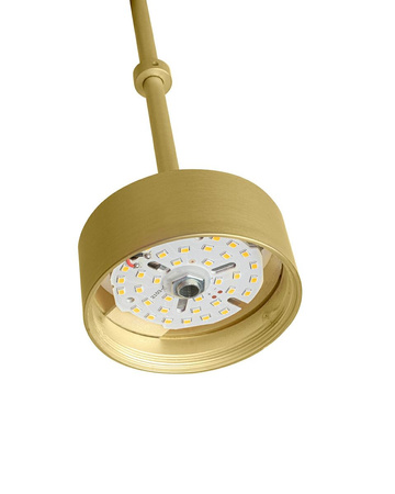 MOOSEE lampa wisząca CAPRI DISC 3 złota