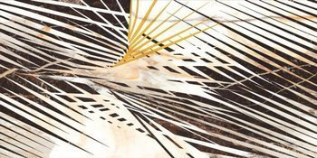 Cerrad Calacatta Gold Dekor A Mat 59,7x119,7