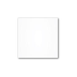 Prime Ceramics Super White Mat 60X60 PD-PC-SW-0012