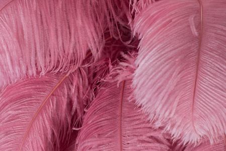 MOOSEE lampa wisząca TIFFANY 135 różowa   mosiądz / naturalne pióra