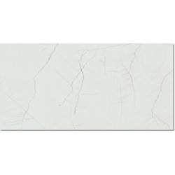 PAMESA DESERT NATURAL POLER 60X120