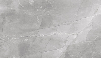 Blizzard Ellie Grey Poler 60x120