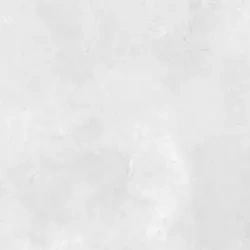 Zoya Bild Jasnoszary Mat 59,7x59,7