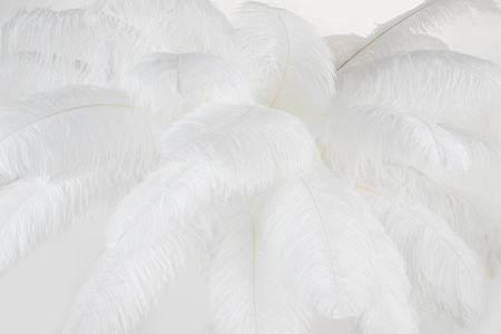 MOOSEE lampa podłogowa TIFFANY 175 biała  mosiądz / naturalne pióra