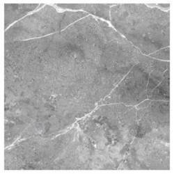 Prime Ceramics Helios Grey Poler 60x60 PD-PC-HG-0002