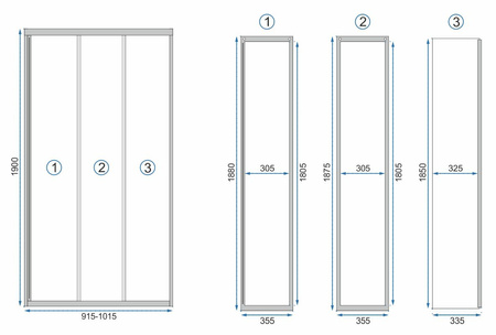 DRZWI PRYSZNICOWE ALEX BLACK 100