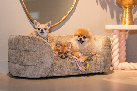 RICHMOND legowisko dla psa BINGO ciemny   beż