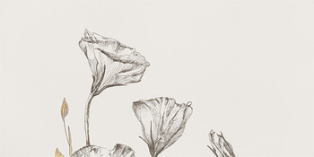 Tubądzin Domino Velo Bianco Flowers 4 Dekor 59,8x119,8