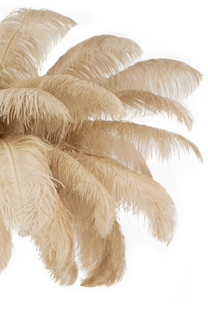 MOOSEE lampa podłogowa TIFFANY 175        beżowa mosiądz / naturalne pióra