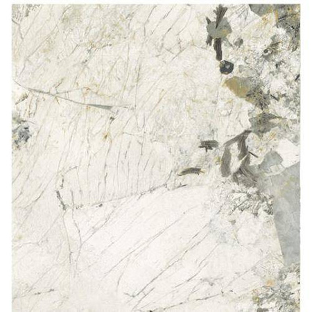 Imola The Room Quartzite Patagonia PAT WH6 120 RM MAT 120x120