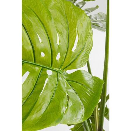 KARE roślina dekoracyjna MONSTERA 110 cm